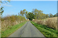 Lane from Eydon towards Preston Capes