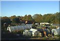 Three Pitts Allotments, Middleton