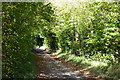 Track on Blagdon Hill