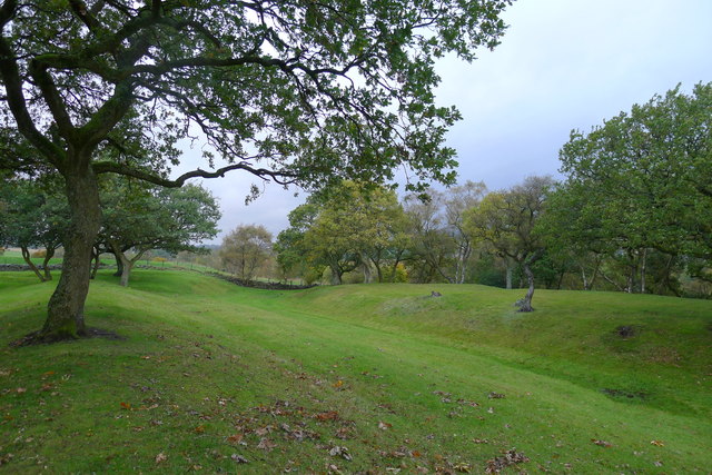 Site of the Antonine Wall and ditch at Seabegs Wood