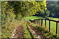 Track down hill beside Rookery Wood