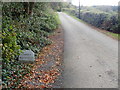 Crossing the Shanroe-Carrive Townland boundary on the Glendesha Road