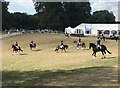ST8898 : Dressage warm-up area at Gatcombe Horse Trials by Jonathan Hutchins