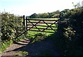 Gate into Field