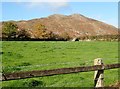 Paddock at the Northern end of School Road, Forkhill