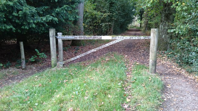 Gate on track into woodland