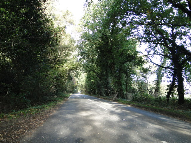 Holt Road, 12 miles from Holt on the B1149