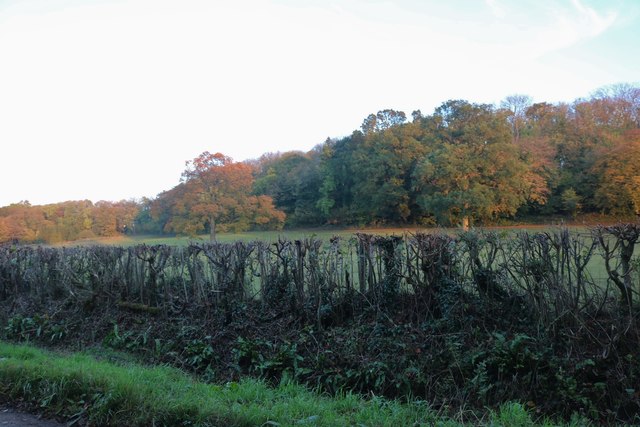 Fields by Cattle Hill, Yarlington