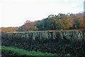 ST6628 : Fields by Cattle Hill, Yarlington by David Howard