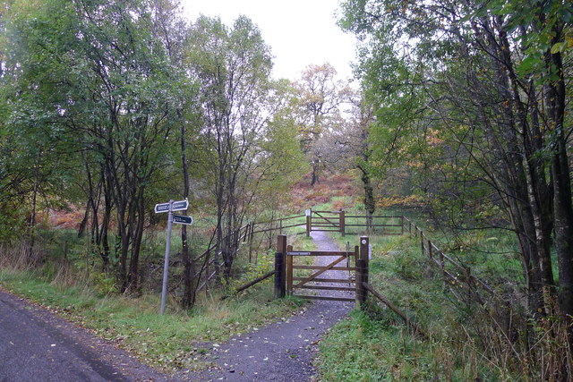 The John Muir Way footpath up Croy Hill