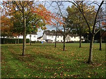 H4672 : Autumn scene, Winters Gardens, Omagh by Kenneth  Allen