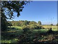 Fields near Tripp Hill Farm