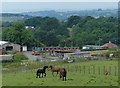 Barden Lane Stables