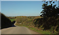 Lane above Milton Combe