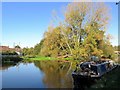 Grand Union Canal link to River Colne, Willowbank