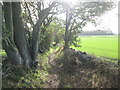 Old Lane towards Barrow Hill