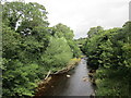 The River Greta at Greta Bridge