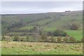 Looking across the valley of River West Allen