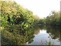 Fishing lake near Tapton