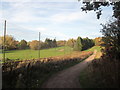 Trans Pennine Trail at Tapton Park Golf Club