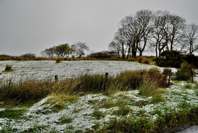 Wintry at Faccary