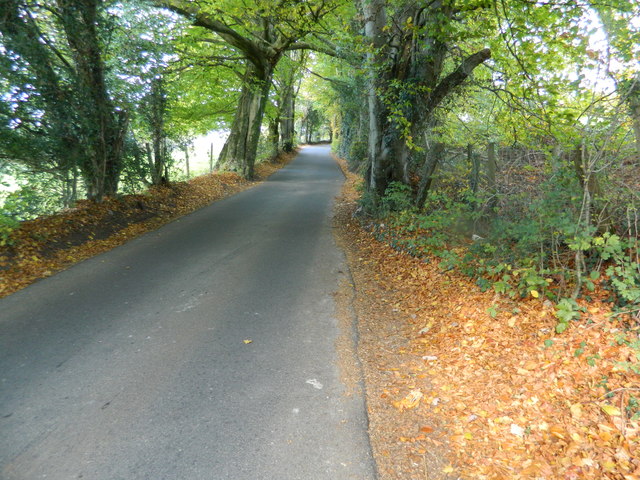 Old Maesycwmmer Road, just north of the Nant-y-Ffrwd