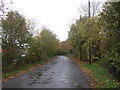 Shady Lane, Calderbanks