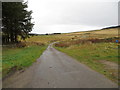 Minor road to the deserted Tomnaven near Hillock of Echt