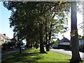 Highfield Avenue from Highfield Lane, Chesterfield