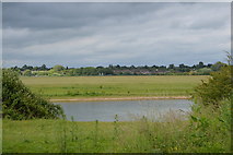 SP4908 : View across Thames to Port Meadow by N Chadwick
