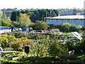 Allotments by the old gasworks, Chesterfield