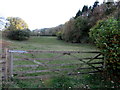 Field adjacent to Scrape Wood