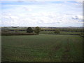 Field east of the A61, Stretton