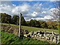 Public footpath at Oxton Rakes