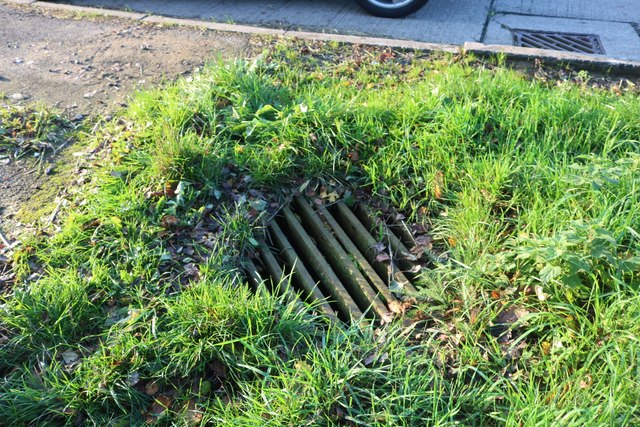 Drain by the A303, West Bourton