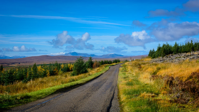 A836 through the cleared plantations of North Dalchork