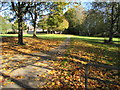 Fallen leaves in a small park, Bryncethin