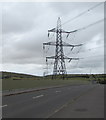 Electricity pylon behind Littlemoor Road, Weymouth