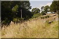 Churchyard, Hordley