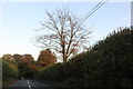 The A371 west of Wincanton