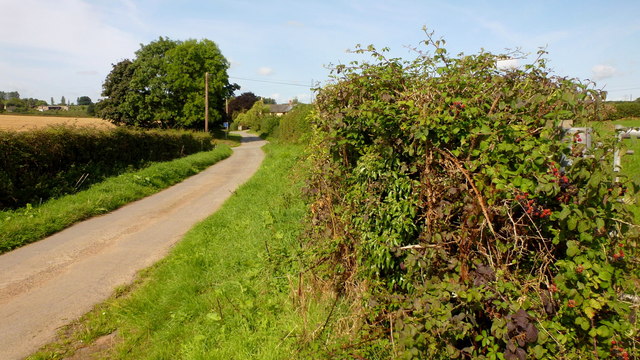 Country lane west of Peterstow