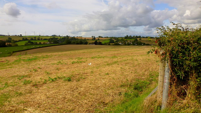 Harvested field above the Garren Brook valley