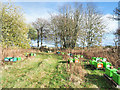 Bee hives south of New Alyth