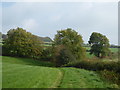 Farmland and trees west of Pilsdon Pen