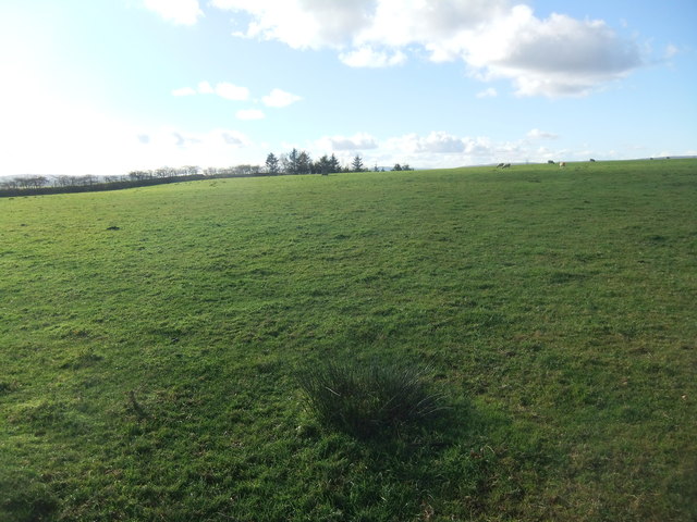 Field near Tosside