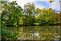 Brimington : Ringwood Lake