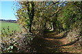 Shady path between fields south of Bush Farm