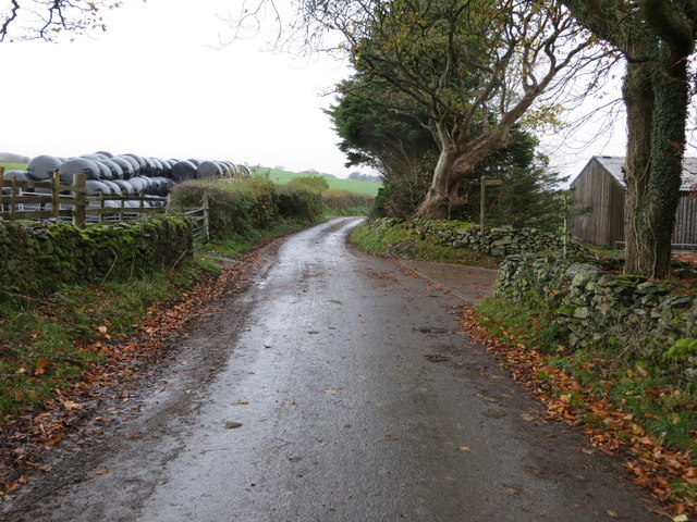 Minor road at Toppin Rays Farm