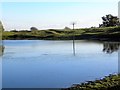 Pond at Wallerthwaite