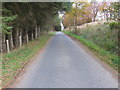 Minor road near to the Daugh of Invermarkie